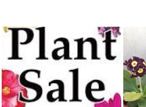 Plant Sale in letters